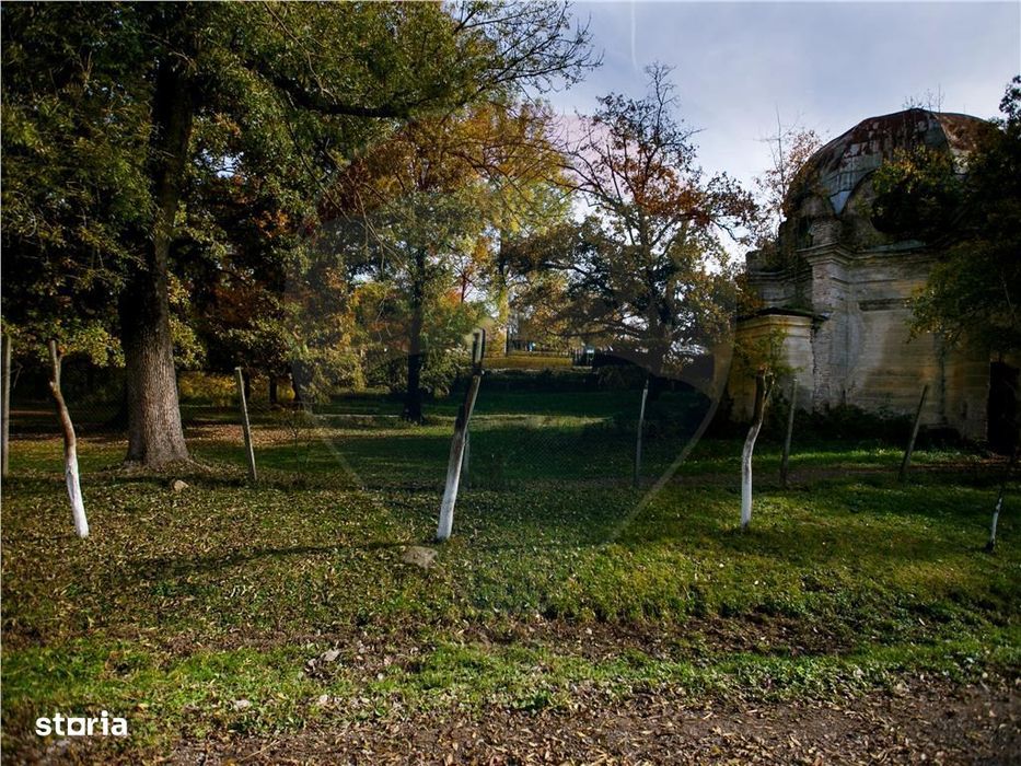 Domeniu Baronial de vanzare in localitatea CIL , Judet Arad
