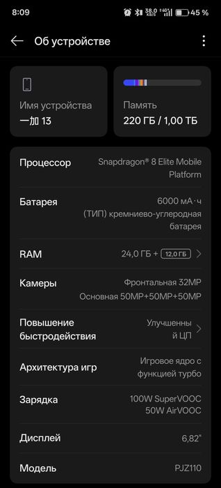 one plus 13 24/1t