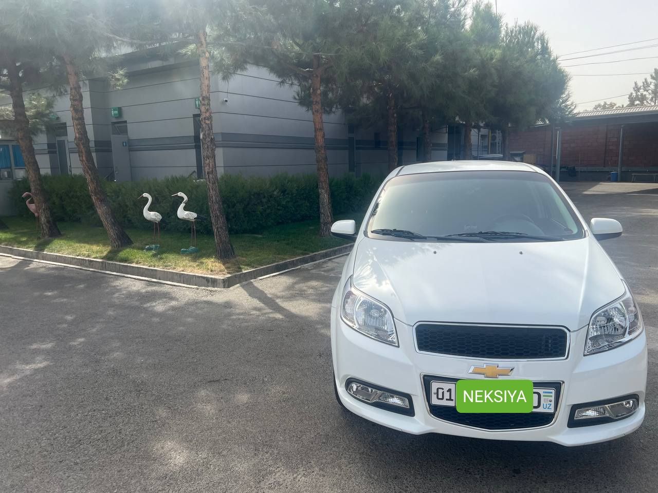 NEKSIYA  3 yurgani halol