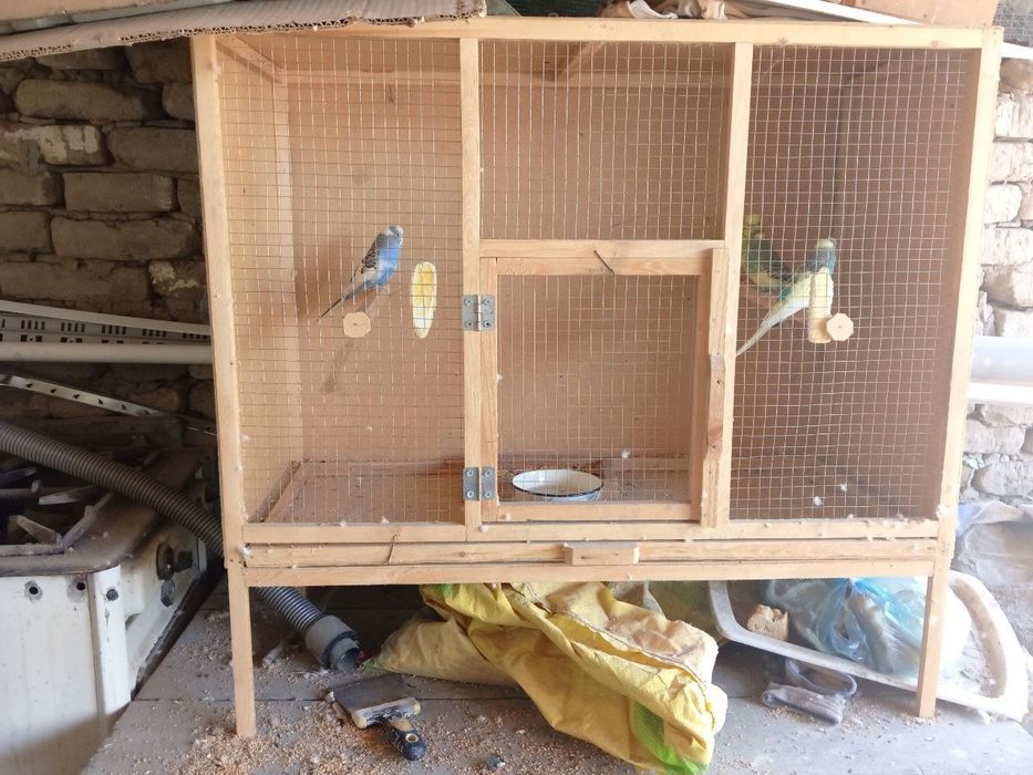 Qushlar sotiladi qafasi bilan