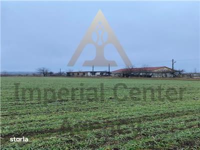 Teren Intravilan 28.000 mp în One?ti – pentru Investi?ii Industriale s