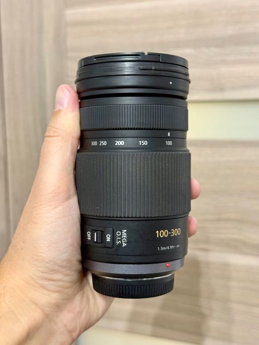 Panasonic Lumix G Vario 100-300mm f/4-5.6 Mega O.I.S. MFT