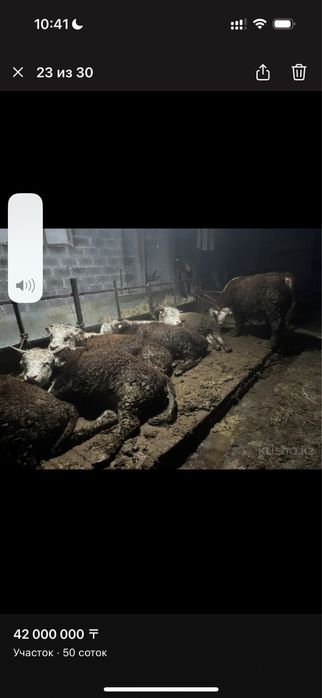 Срочно продам или сдам в аренду базу