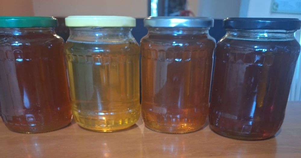 Miere  de albine, angro