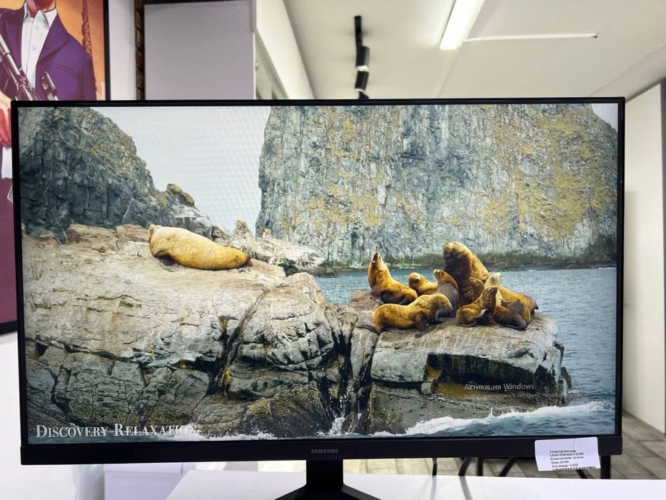 Монитор Samsung 74 Гц