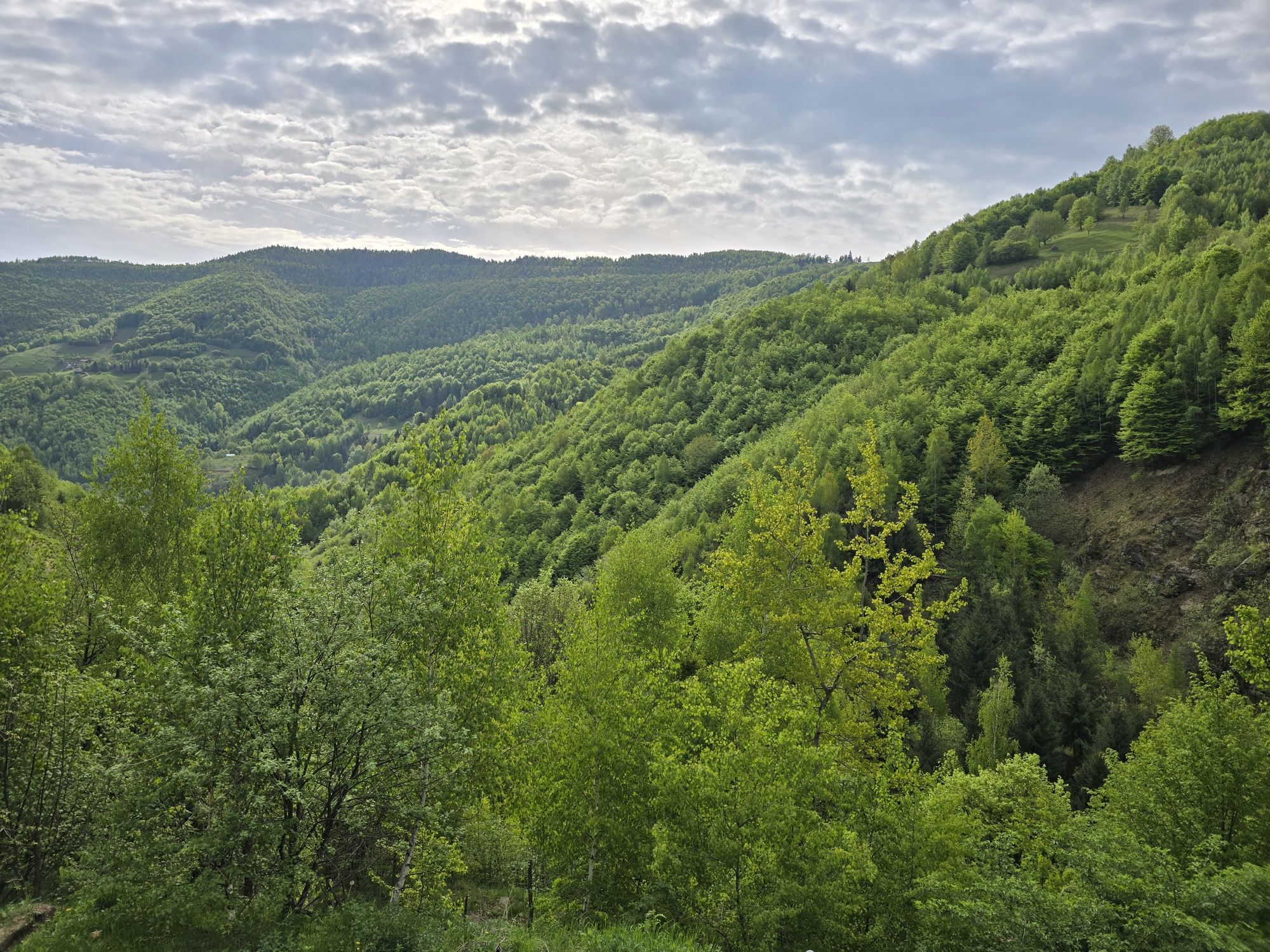 Cabana de vanzare in Muntele Rece