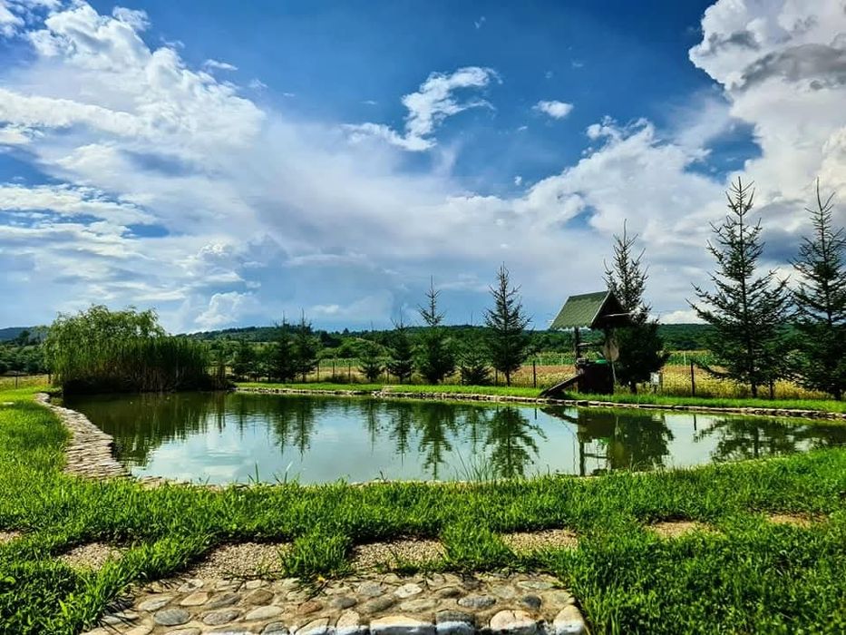 Cabana Revelion 2026