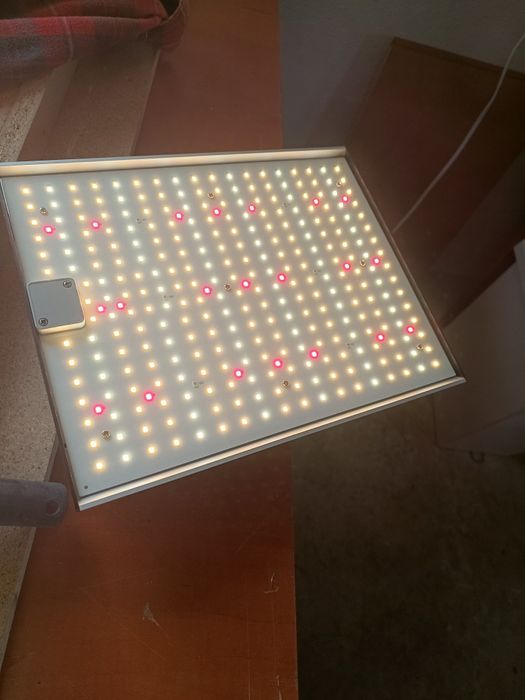 Lampa pentru creșterea plantelor