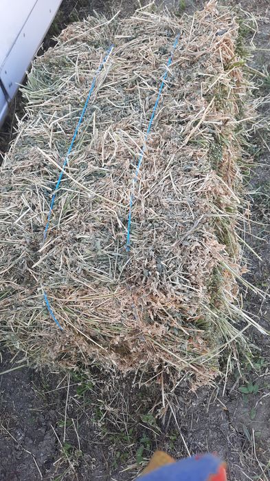 ‼️ Vand baloti de lucerna 2025, 40 lei balotul ‼️