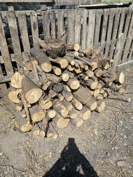 Продам дрова доски чюрки .