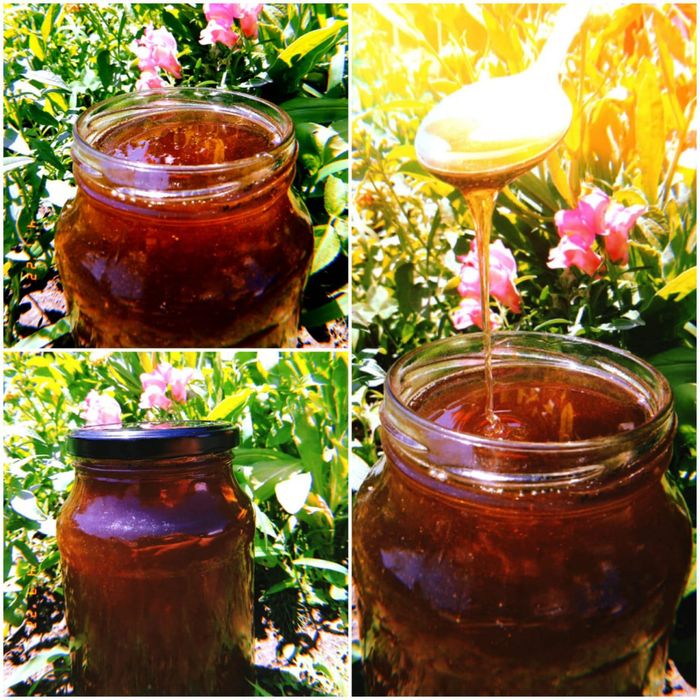 Мёд горное разнотравье