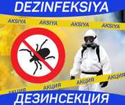 Дезинфекция Dezinfeksiya бурга burga блох Акция на обработку блох