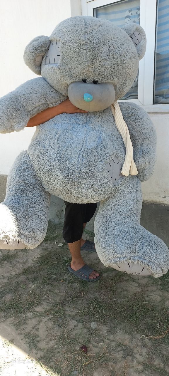 Тедди Мишка. Ayiqcha Teddy