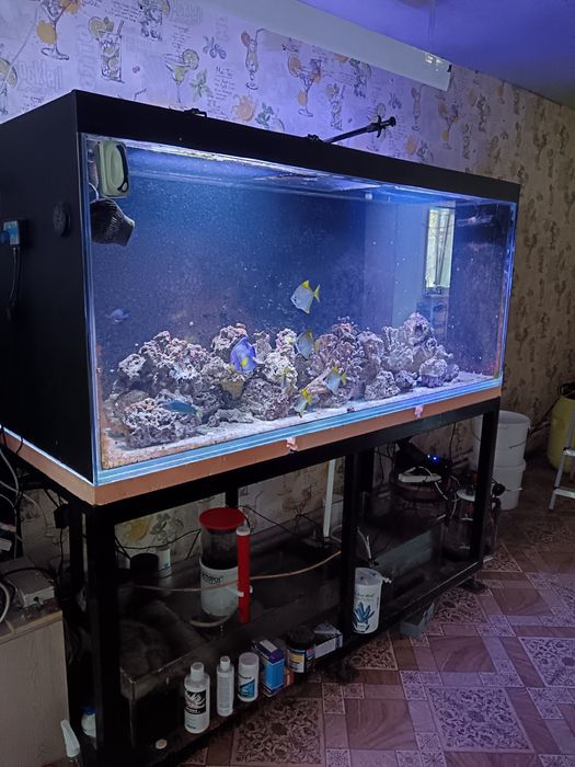 Аквариум морской 1 тонна воды могу продать под пресник отдельно по дог