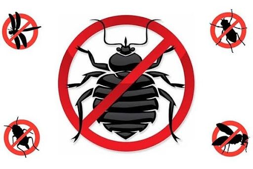 Дезинфекция, дезинсекция, дератизация