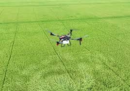 Servicii agricole / tratamente fitosanitare / mapare teren cu drona