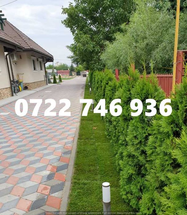 Gazon Rulou , Sisteme de irigare oriunde in Tara Calitate extra