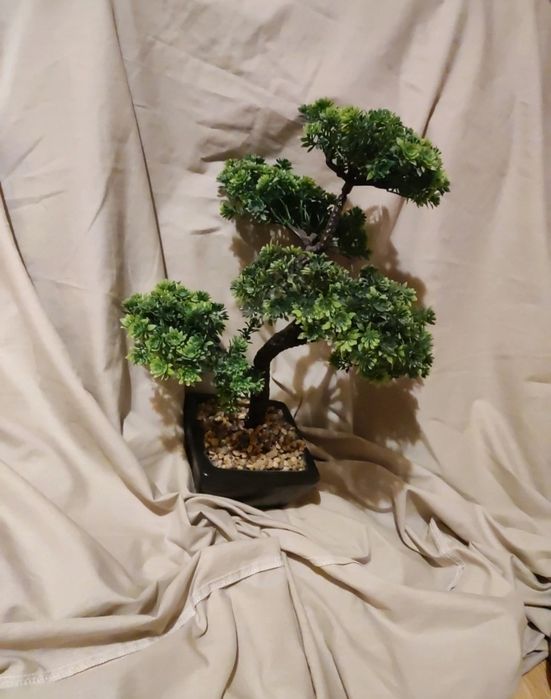 Bonzai din plastic in ghiveci ceramic