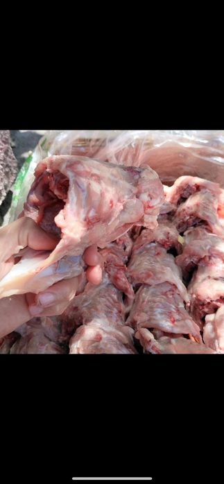 Корпус,спинки курочек для собак