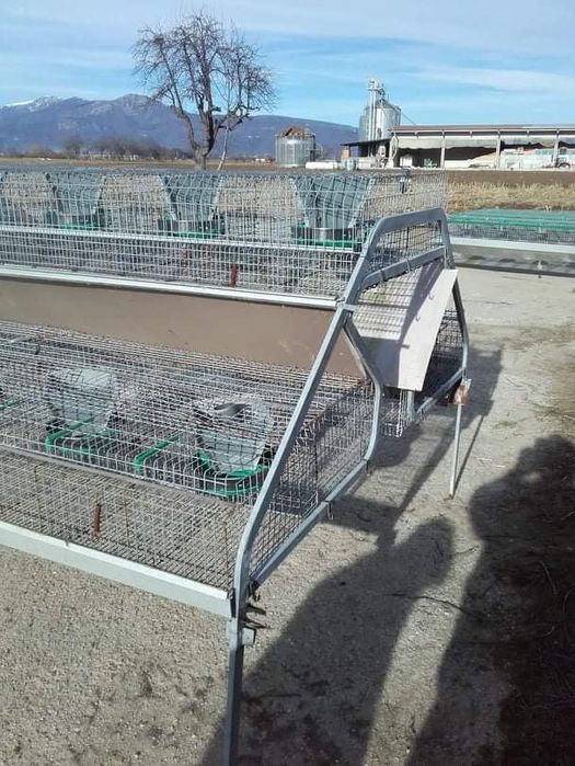 Custi iepuri profesionale