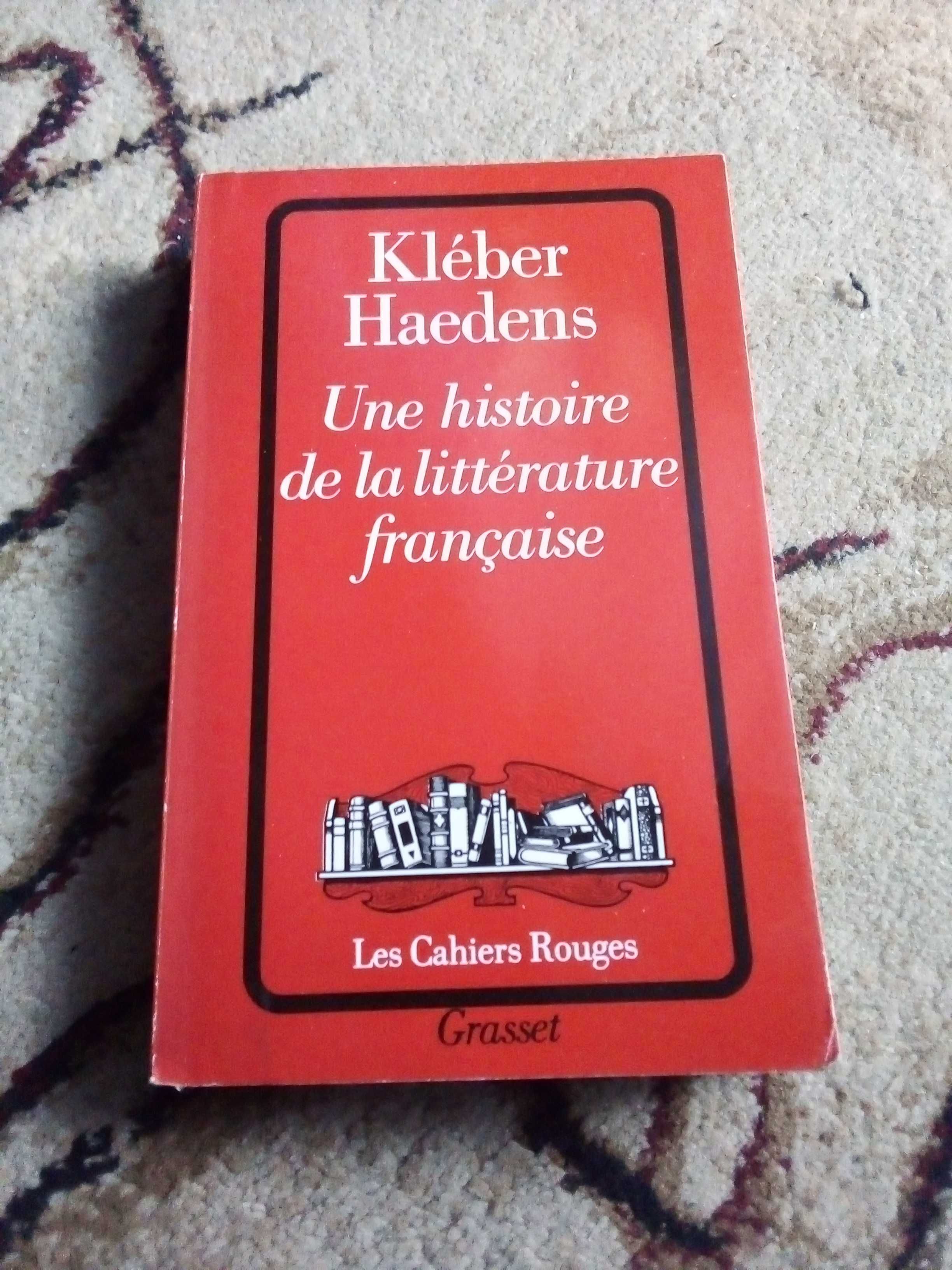 Cartea "une histoire de la littérature française"
