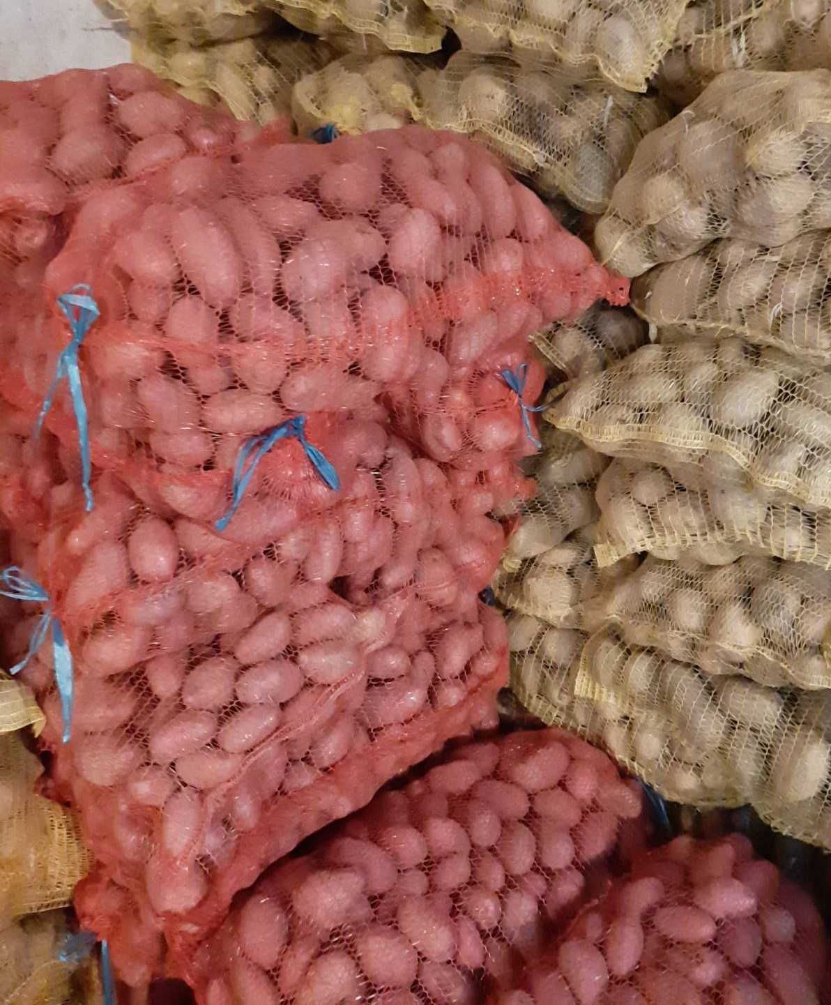 Семена - Картофи