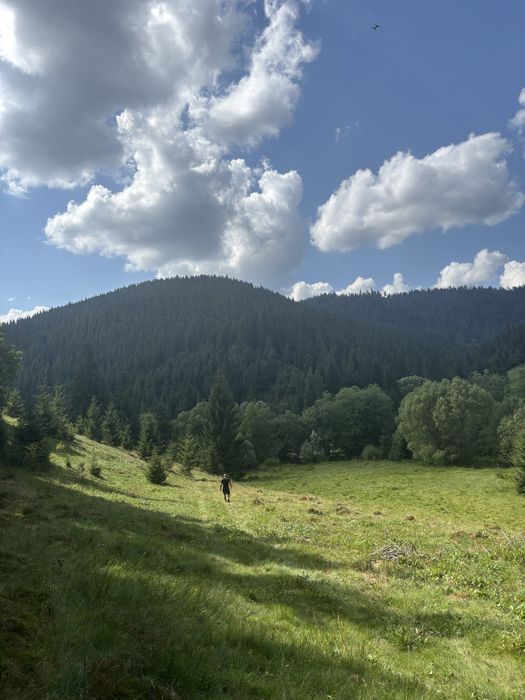 Vând teren, sat Ciurtuci, Beliş (în apropiere de lacul Belis)