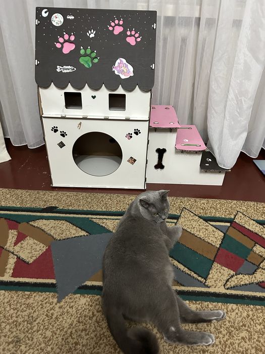 Продам домик для кота/собаки