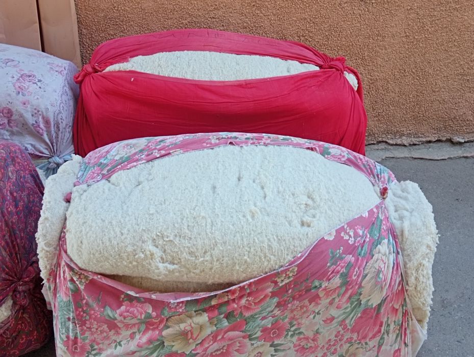 Paxta titish chirchiq