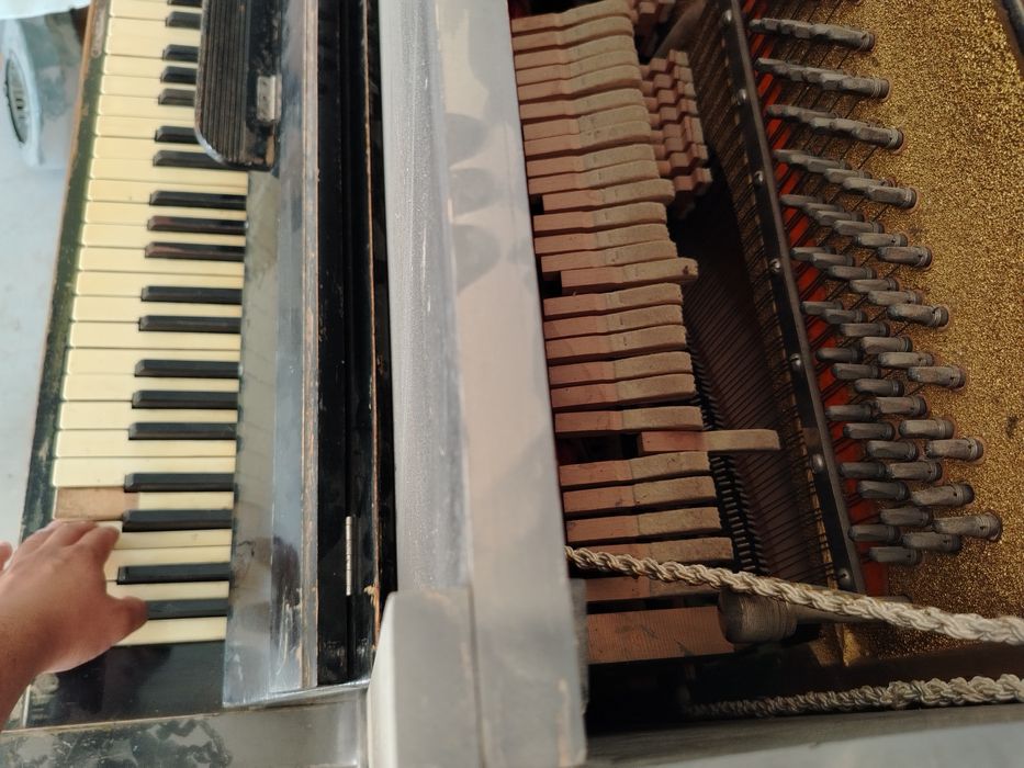 Pianina, Pionino (Belarus)