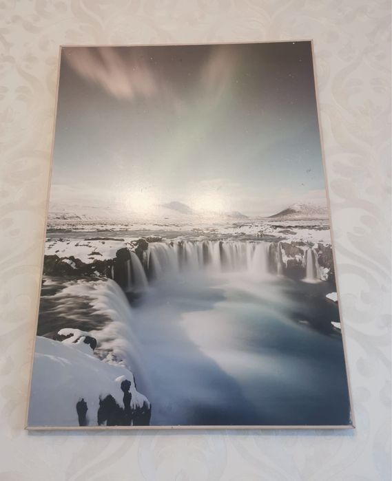 Антикварна фотография благороден елен рамкирана за закачане на стена