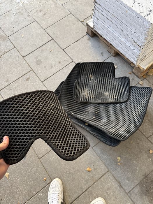 ева полики на гранту