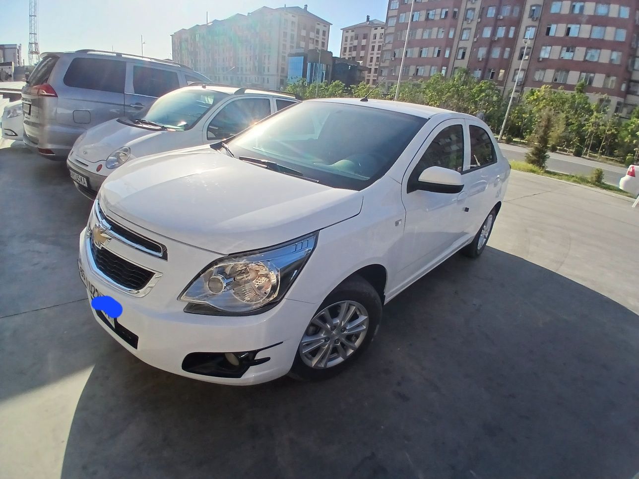 Moshina ideal kruz kanrol bor