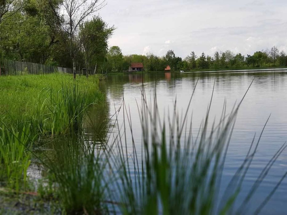 Balta de pescuit Arad - Pescari