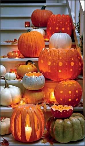 20 seminte Dovleac halloween Howden-pt copt si bun pentru decupat