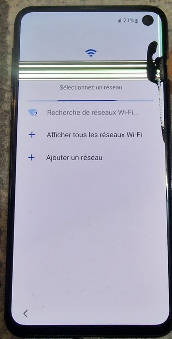 Samsung S10e display defect