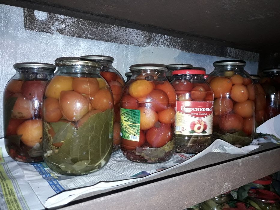Продам помидоры дачные