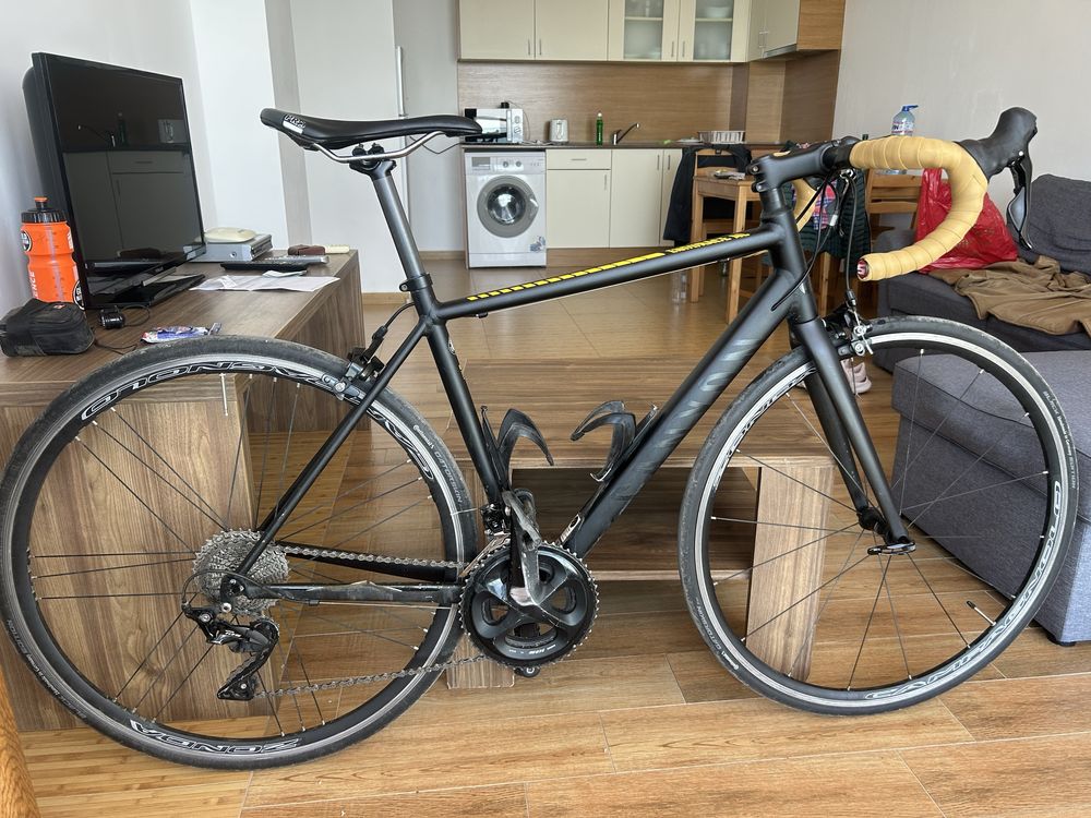 Canyon Endurace AL