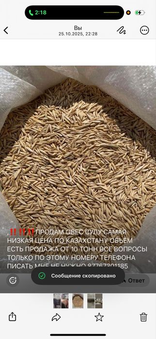 Продам овес сулу низкая цена