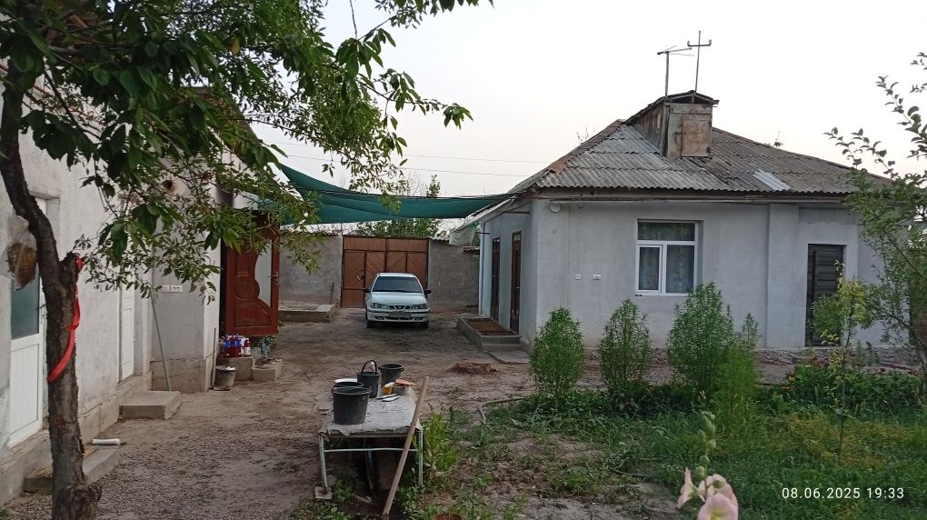 Ховли уй сотиляпти