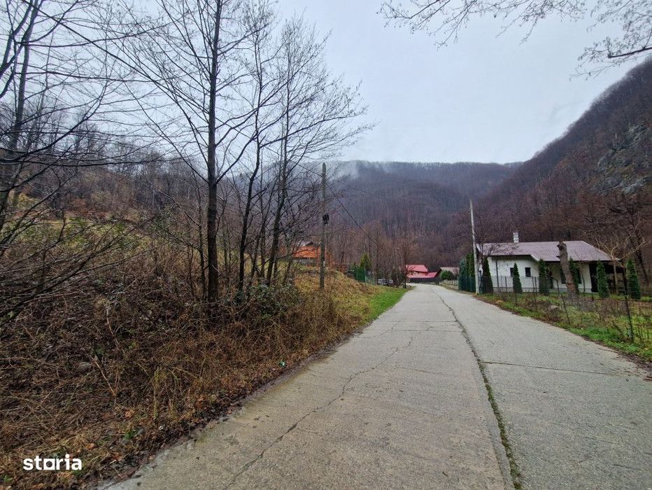 Vanzare teren in com. Pestisani, sat Gureni - zona de munte