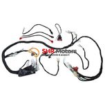 Instalatie electrica ATV 200 250 Bashan