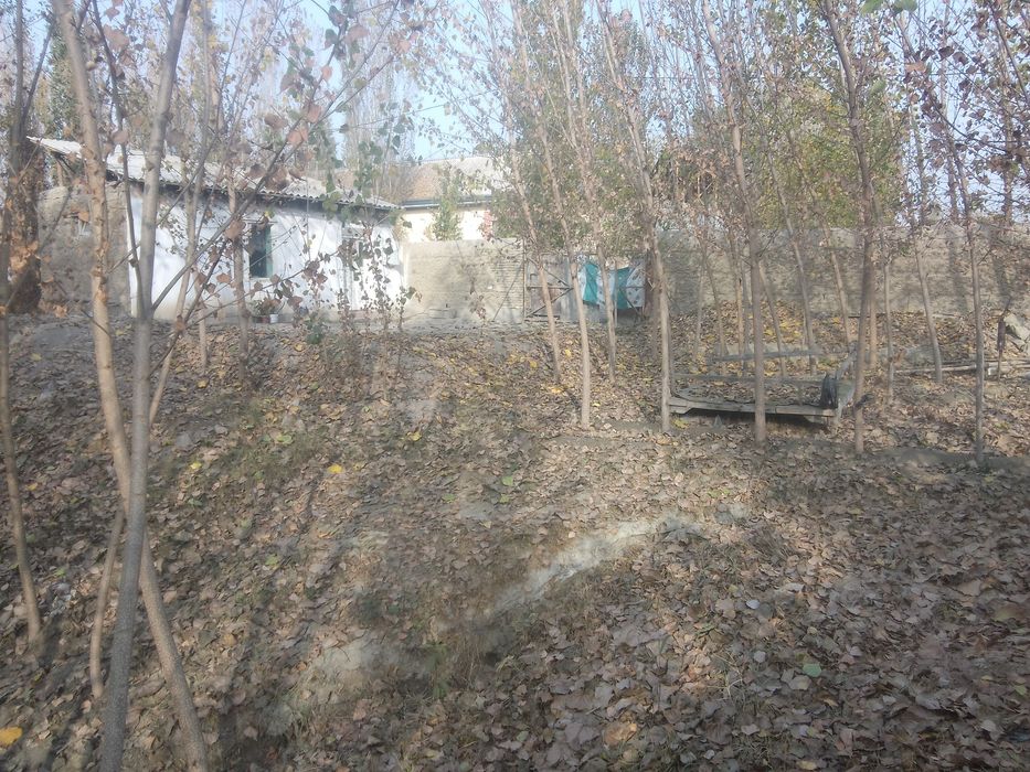 Чек ер участка сотилади