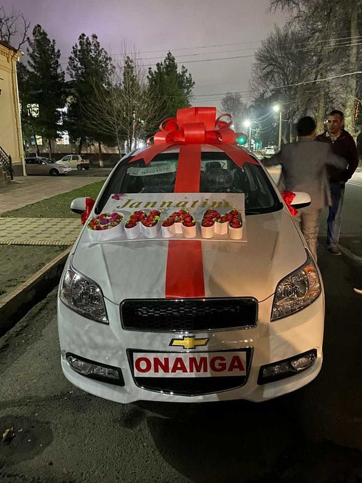Bantik для машины, aksessuar na mashinu