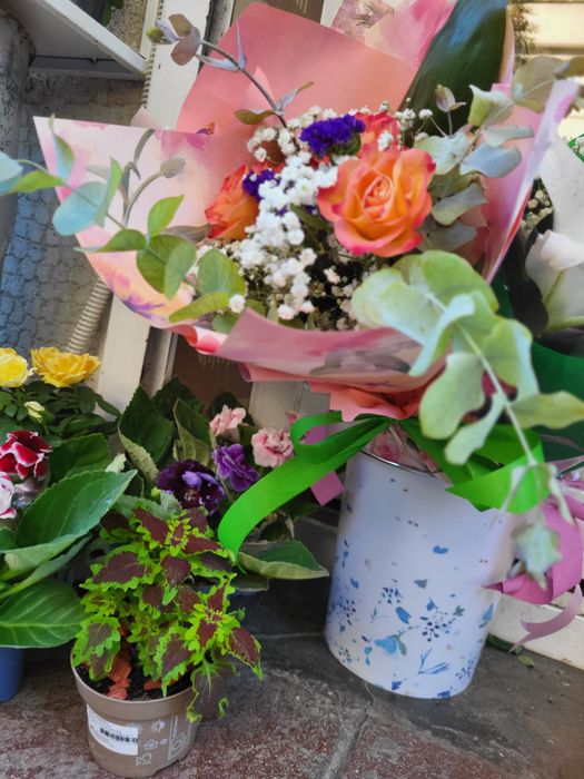 Цветя онлайн  или на място  -ул.Кричим 20