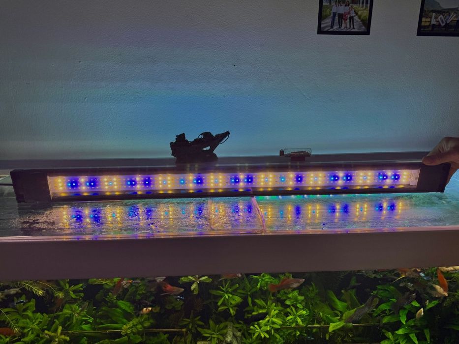 Vând acvariu profesional