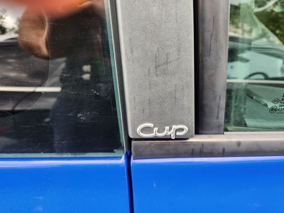 Vand Renault megane rs cup