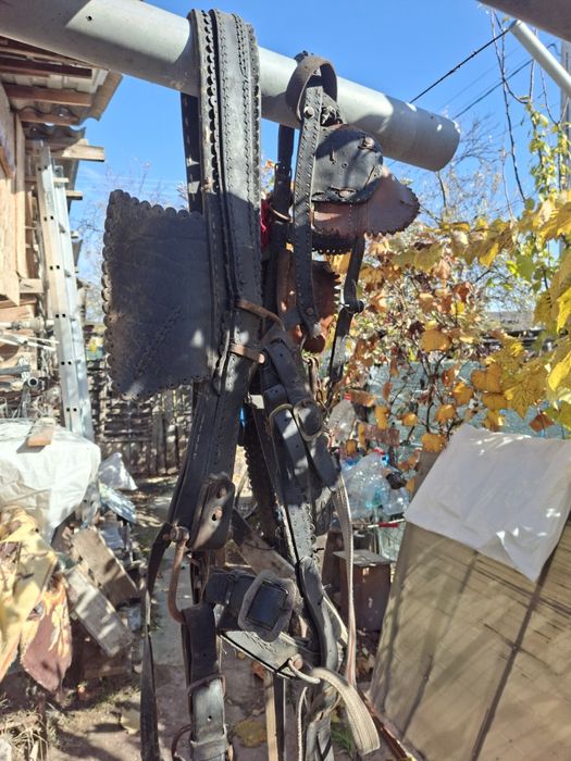 Vând ham pentru cal