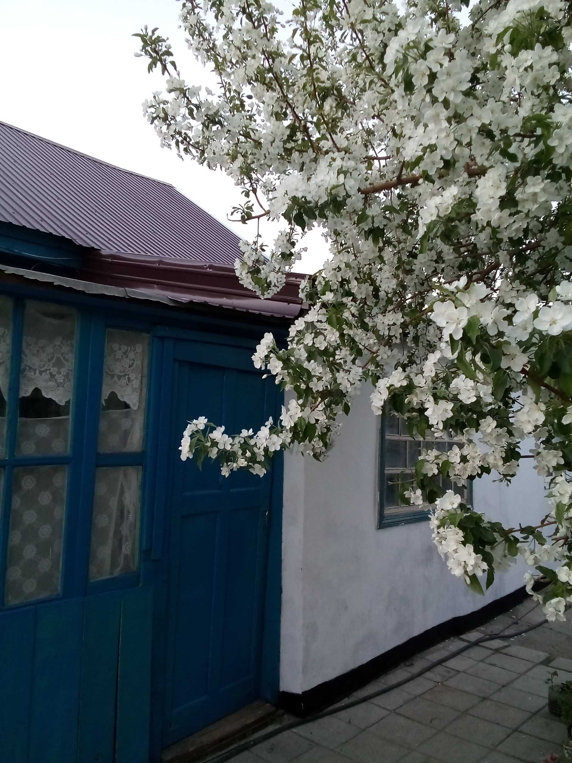 Продам дом, Шанхай за15,5млн