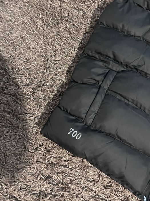 Vesta the north face